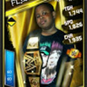 Meet your Posher, Flygee